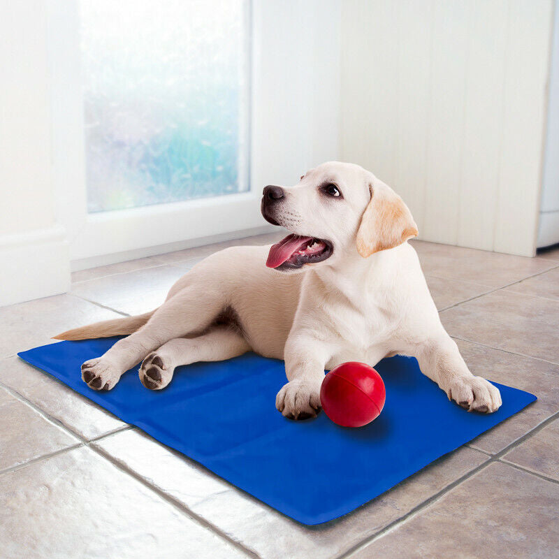 CRUFTS Pets Cooling Gel Mat Sizes for Dogs Cats Summer Pet Cooler Vests Collar